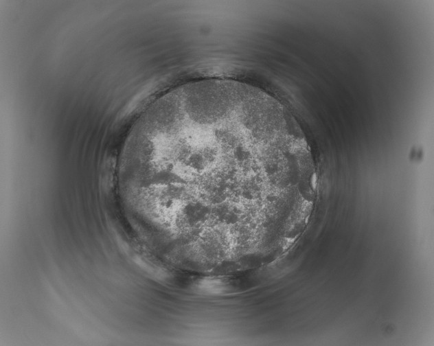 X0000110880171200907161510