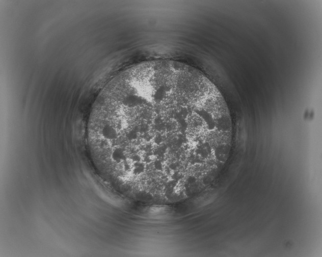 X0000110880173200907161510