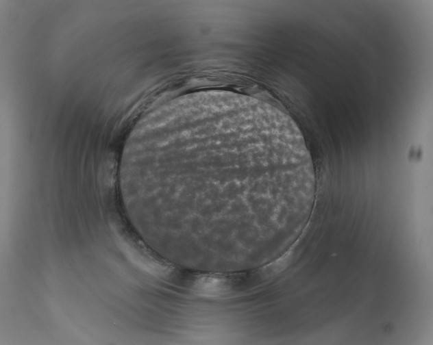 X0000110880174200907161510