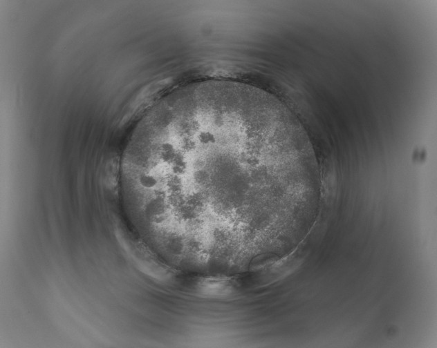 X0000110880175200907161510