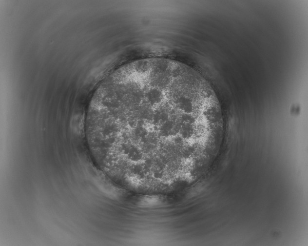 X0000110880177200907161510