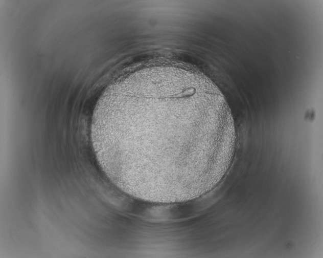 X0000110880178200907161510