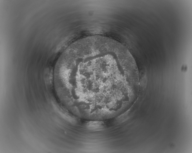 X0000110880179200907161510