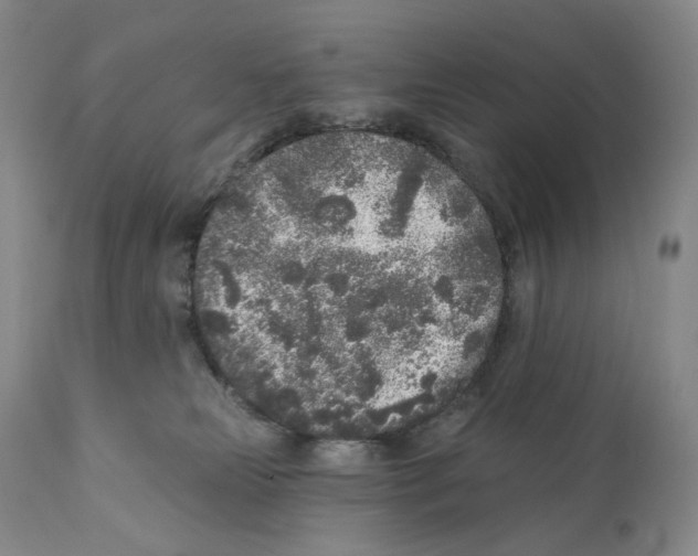 X0000110880181200907161510