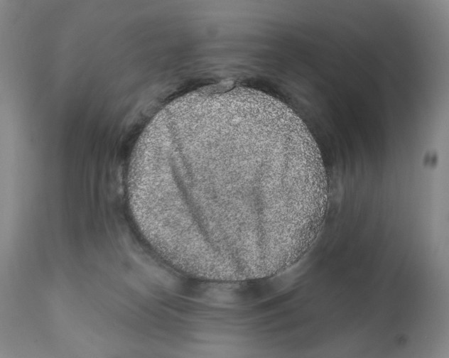 X0000110880182200907161510