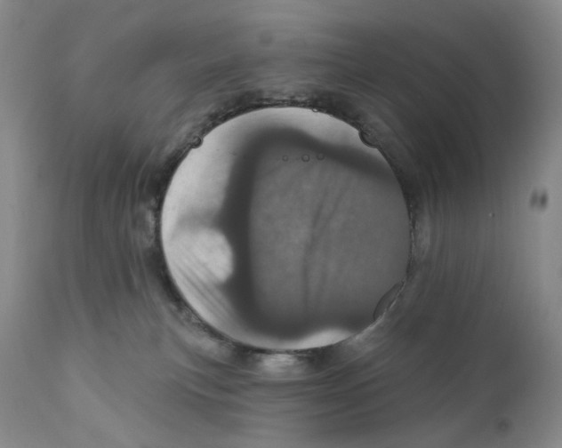 X0000110880183200907161510