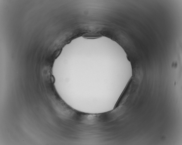 X0000110880184200907161510