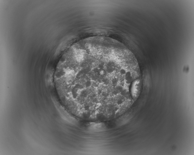 X0000110880185200907161510