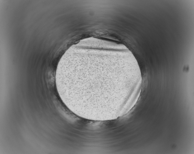 X0000110880186200907161511