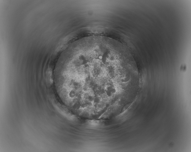 X0000110880187200907161511