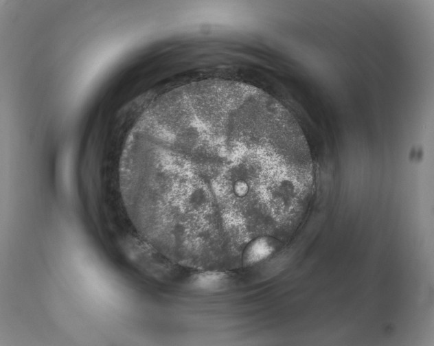 X0000110880189200907161511