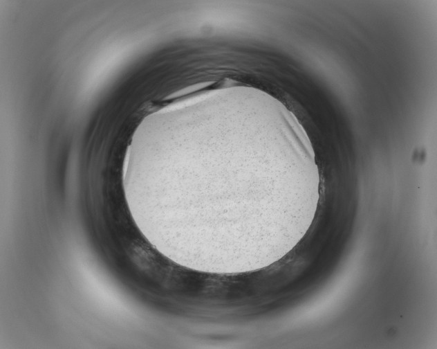 X0000110880190200907161511