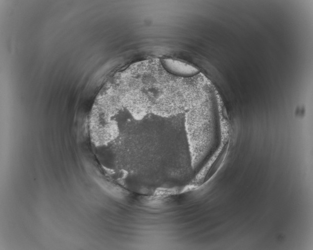 X0000110880191200907161511