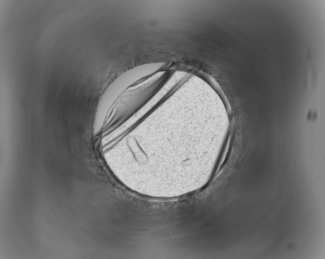 X0000110880192200907161511