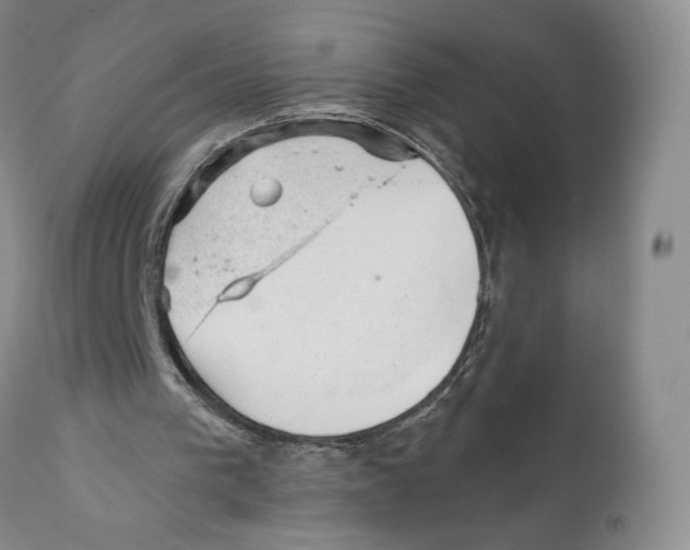 X0000110880193200907161510