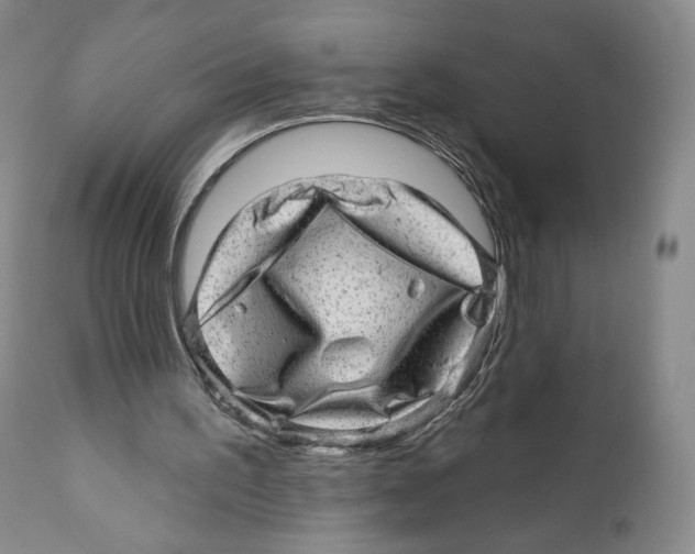 X0000110880195200907161510