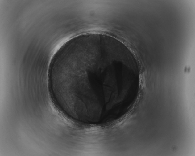 X0000110880196200907161510