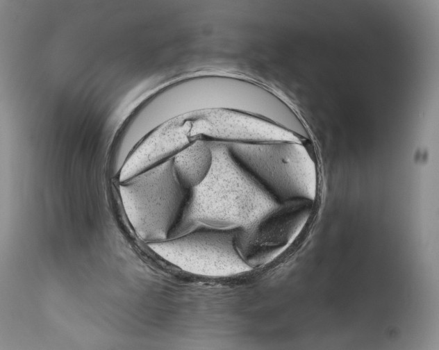 X0000110880199200907161510