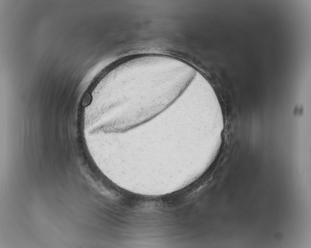 X0000110880200200907161510