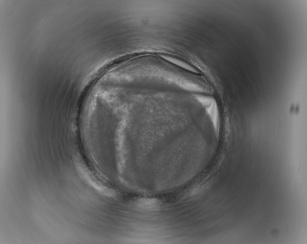 X0000110880203200907161510