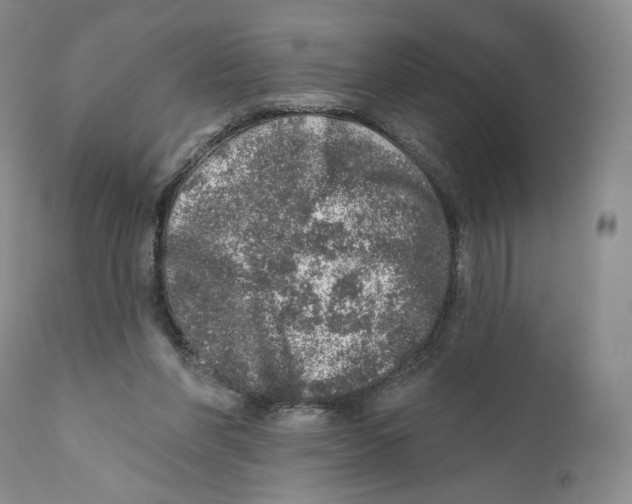 X0000110880206200907161510