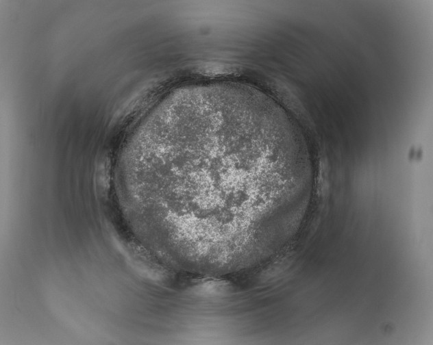 X0000110880210200907161510