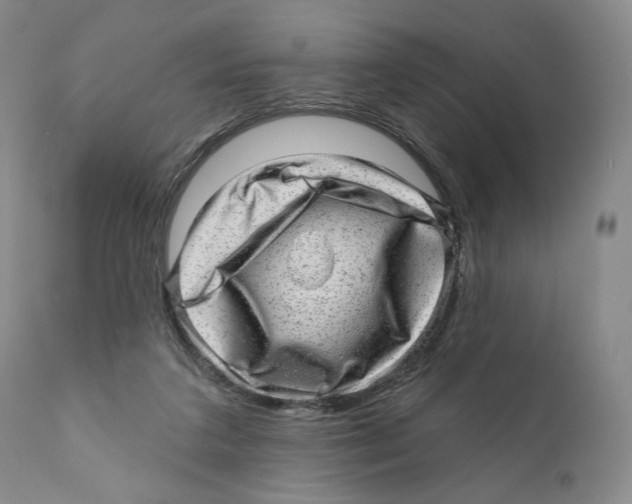 X0000110880211200907161510