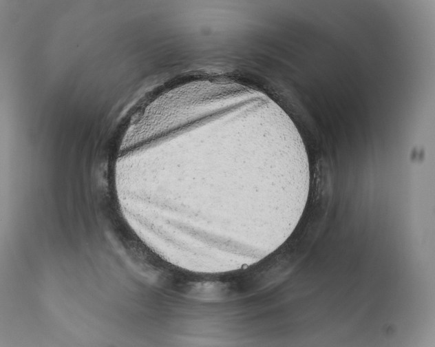 X0000110880212200907161510