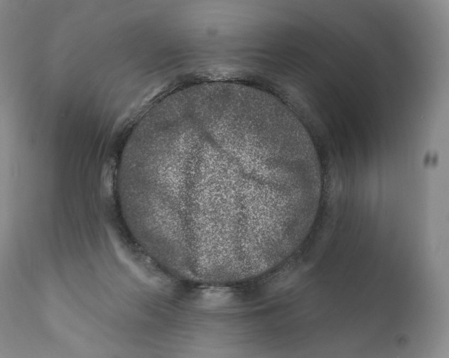 X0000110880214200907161510