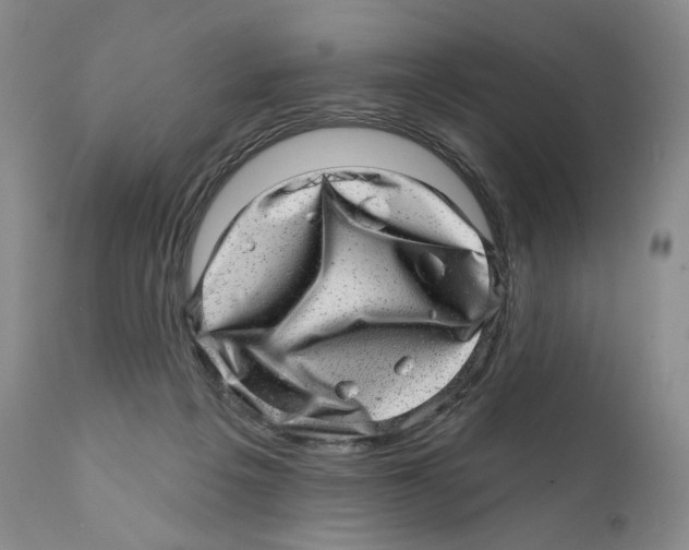 X0000110880217200907161510