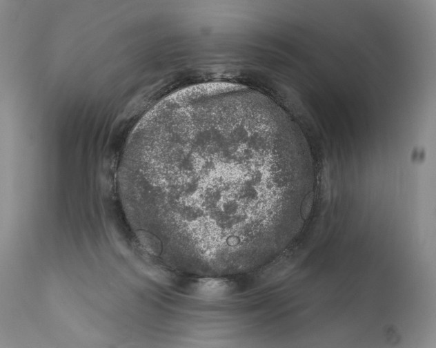 X0000110880218200907161510