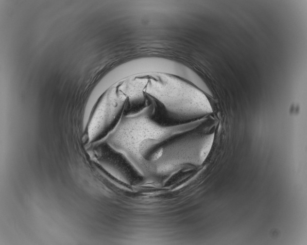 X0000110880219200907161510