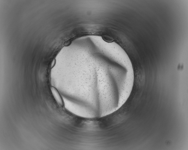 X0000110880221200907161510