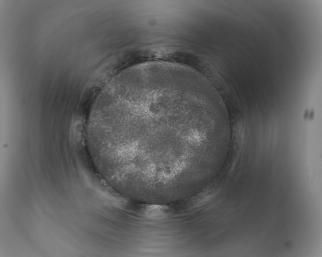 X0000110880222200907161510