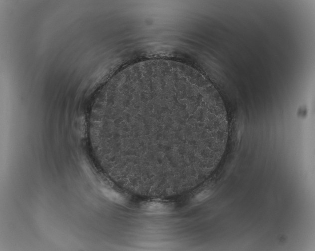 X0000110880224200907161510