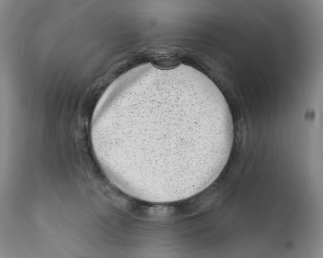 X0000110880225200907161509