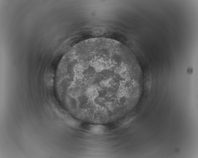 X0000110880226200907161509