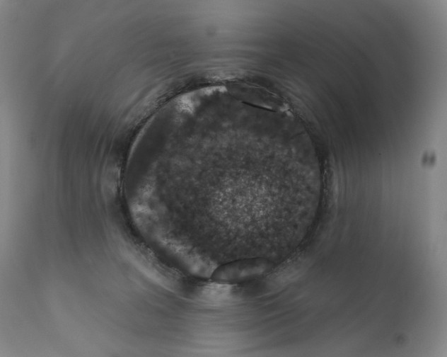 X0000110880227200907161509