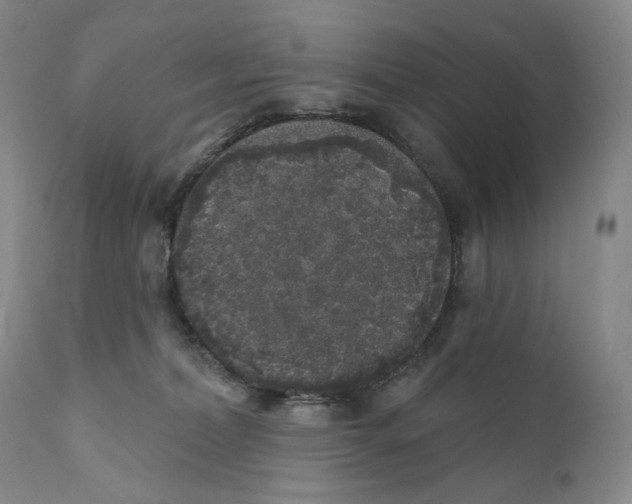 X0000110880228200907161509