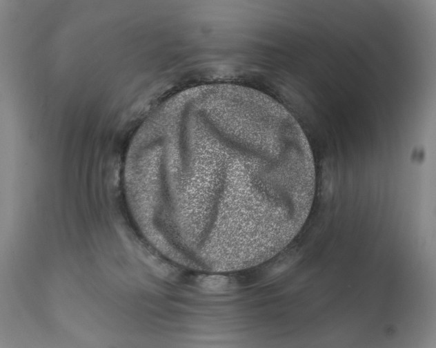 X0000110880230200907161509