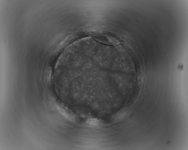 X0000110880231200907161509