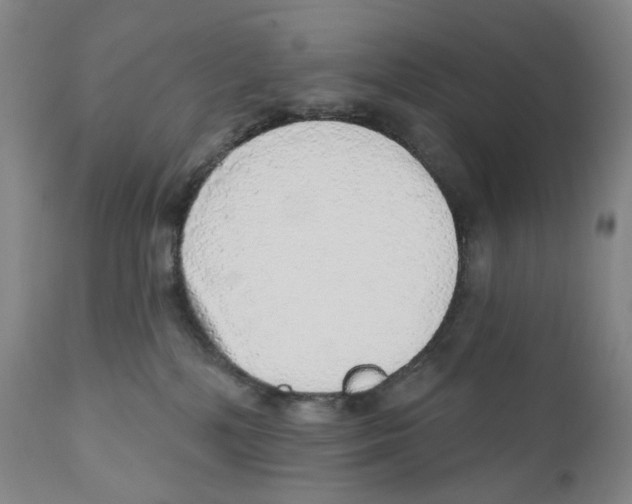 X0000110880232200907161509