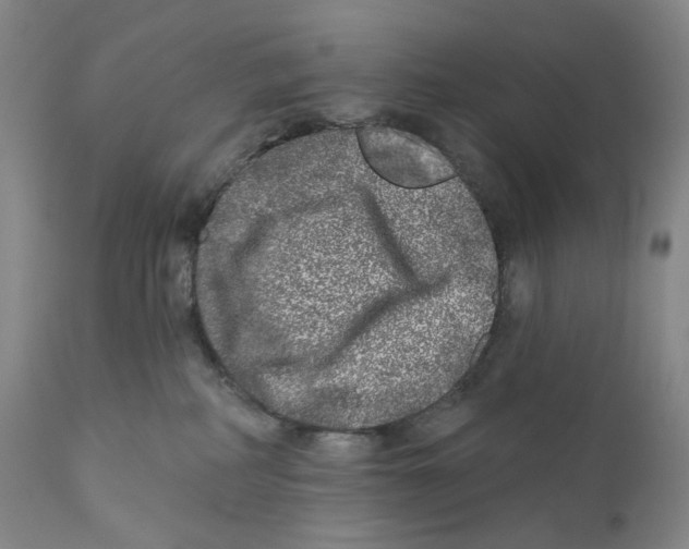 X0000110880234200907161509