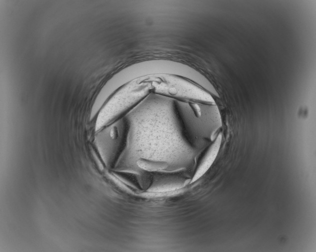 X0000110880235200907161509