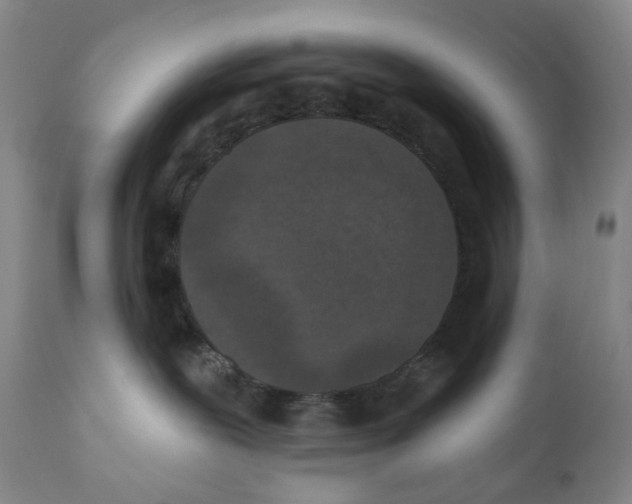 X0000110880239200907161509