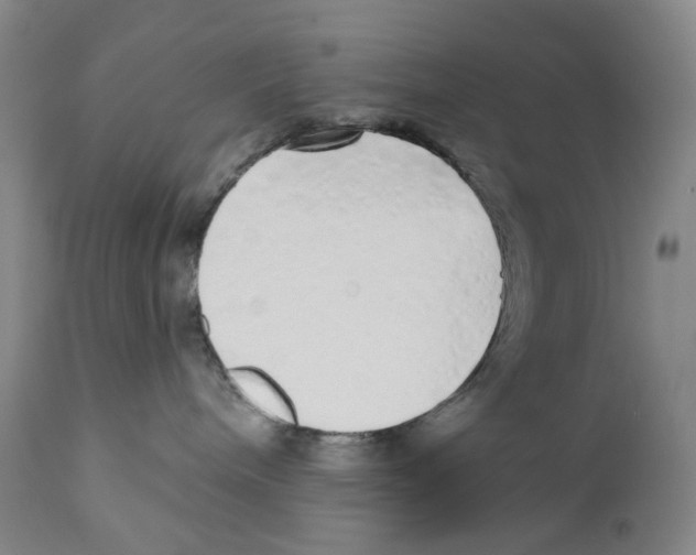 X0000110880240200907161509