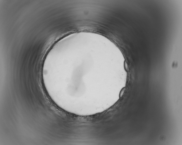 X0000110880241200907161509