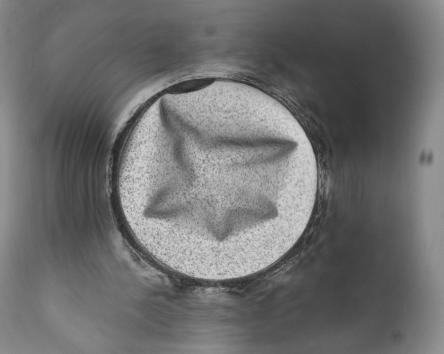 X0000110880244200907161509