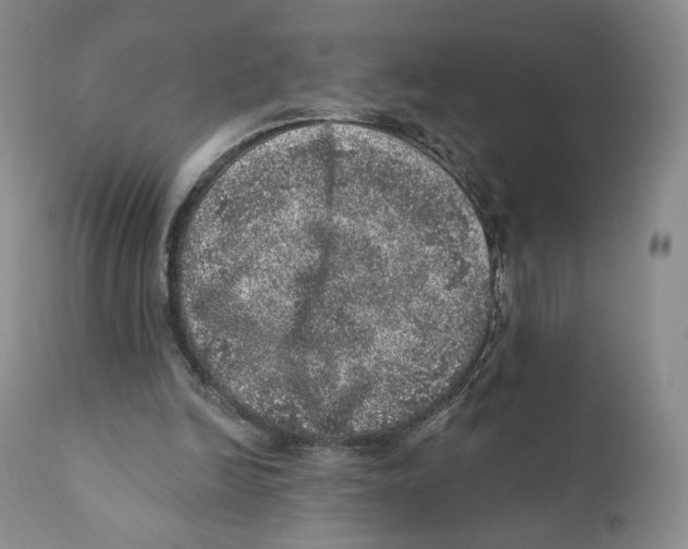 X0000110880246200907161509