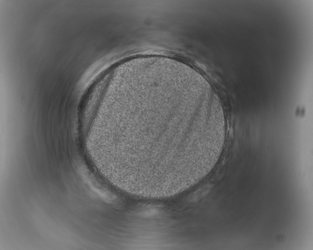 X0000110880247200907161509